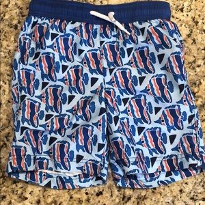 Lands End swim trunks